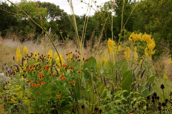 Contemporary Landscape by Adam Woodruff + Associates, Garden Artisans