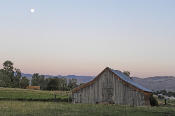 Farmhouse Garage And Shed by Sarah Greenman