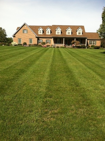 Traditional Landscape by Greener Grass Organic Lawn Care