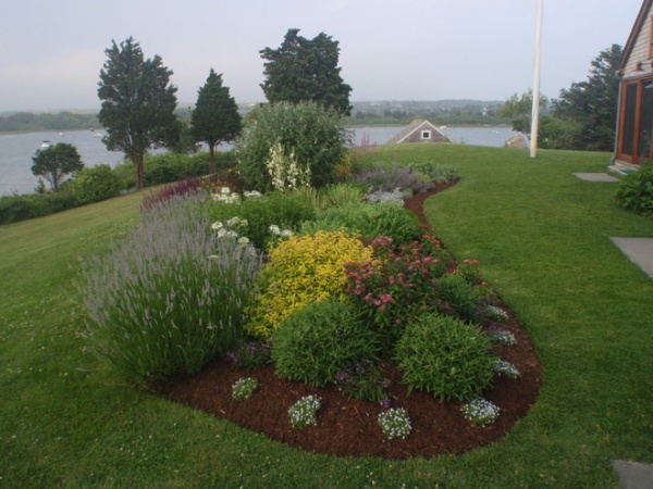 Traditional Landscape by Jennifer Jamgochian / Multiflora