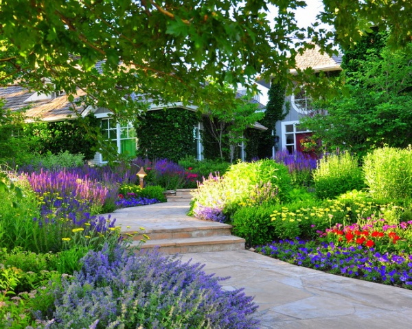 Traditional Landscape by Designscapes Colorado Inc.