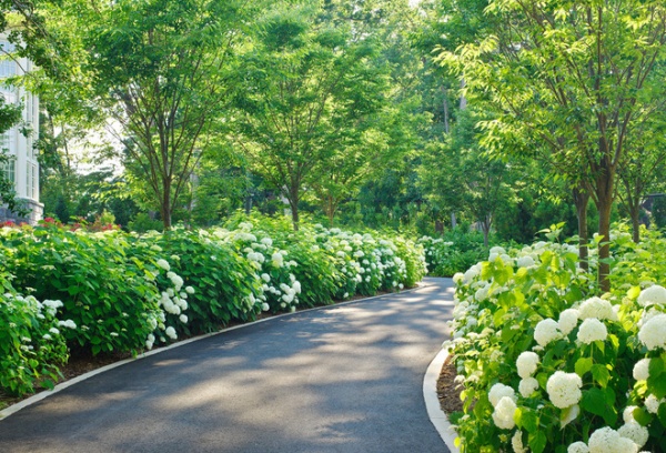 Traditional Landscape by Katia Goffin Gardens