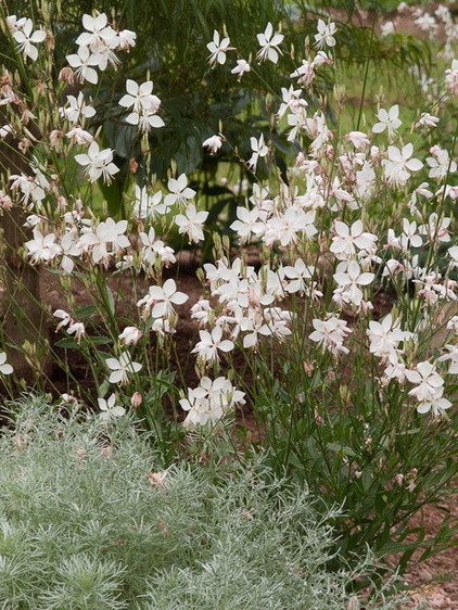 Traditional Landscape by Le jardinet