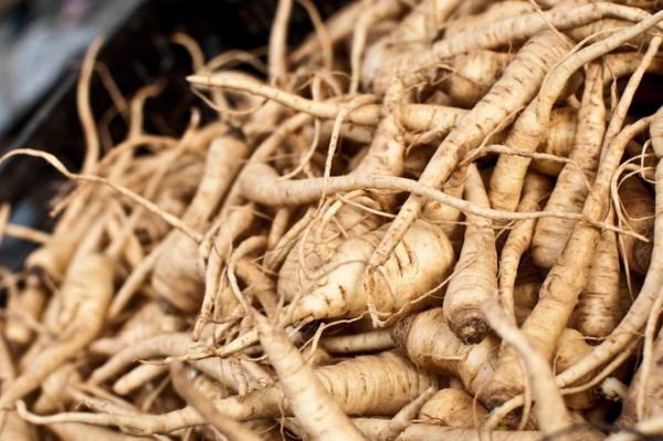 Traditional Landscape Parsnips