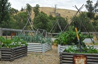 9 Ways to Change Up Your Vegetable Garden for the Coming Season