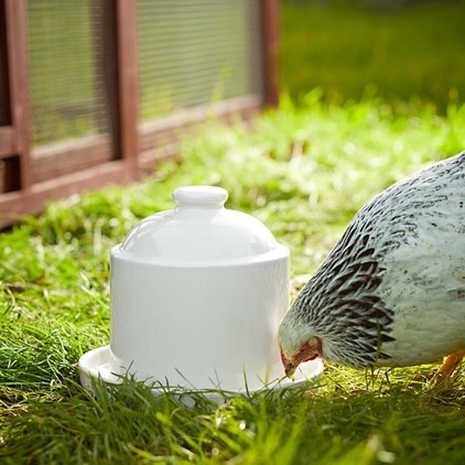 Contemporary Pet Bowls And Feeding by Williams-Sonoma