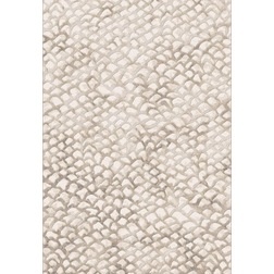 Modern Rugs by Benjamin Rugs and Furniture