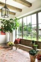 10 Top Plants to Grow Indoors