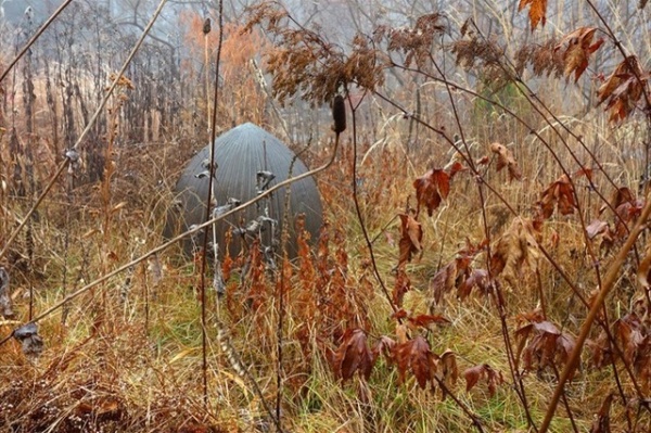 Autumn naturalistic garden