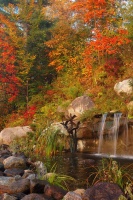 4 Elements of a Stunning Fall Garden