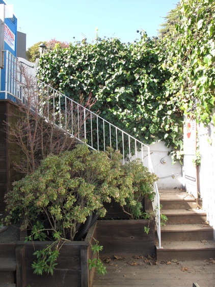 Sausalito Hillside Deck and Garden Fence -- RO to LA and A