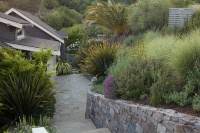 Smart Plantings Grace a Hillside Garden