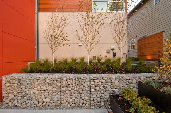 Contemporary Landscape by BUILD LLC