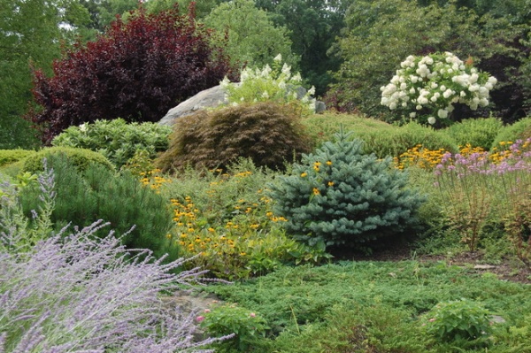 Eclectic Landscape by Mary-Liz Campbell Landscape Design