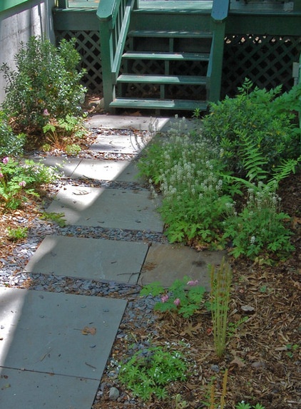 Asian Landscape Tiarella cordifolia