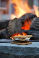 Happy National Toasted Marshmallow Day!