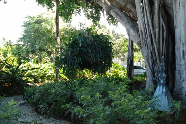 Tropical Landscape by Geoff Darnell, Corcoran Group Real Estate