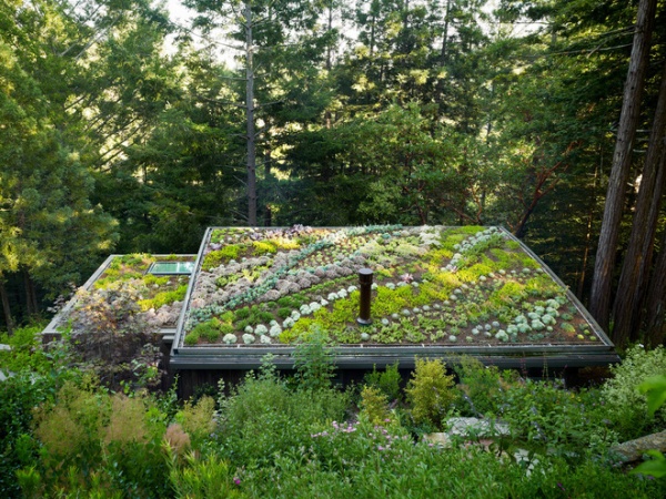 Contemporary Garage And Shed by Feldman Architecture, Inc.