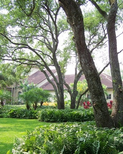 Tropical Landscape by orlando comas, landscape architect.