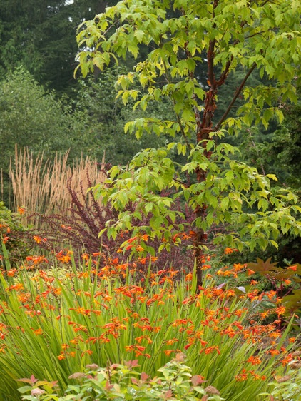 Traditional Landscape by Le jardinet