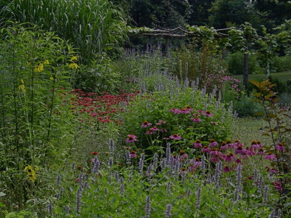 Traditional Landscape by Brian Maloney Design Associates