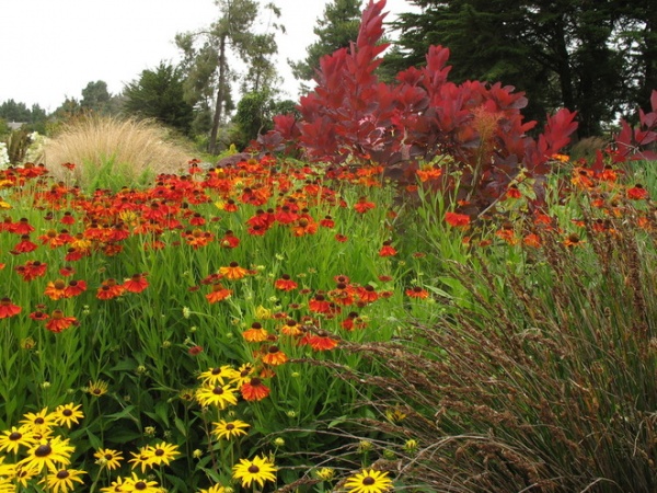 Traditional Landscape by Le jardinet