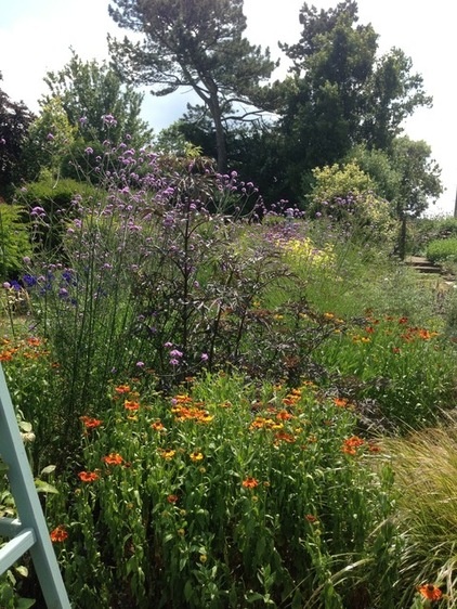 Perennial Meadows