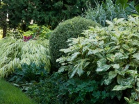 Great Garden Combo: Play With Foliage Patterns in a Border