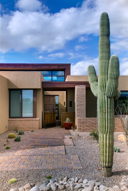 Contemporary Exterior by Dove Mountain Homes