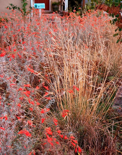 Landscape by John J. Kehoe Photography