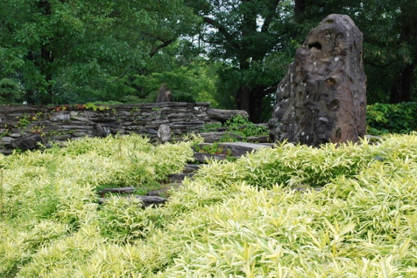 Eclectic Landscape by Jay Sifford Garden Design