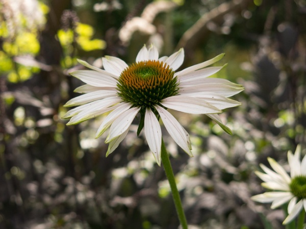 Landscape by Le jardinet