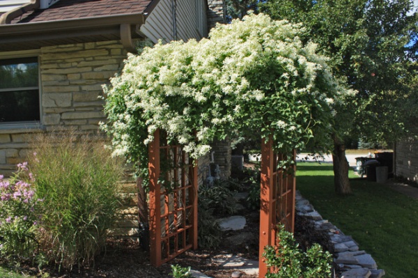 Traditional Landscape by Hawks Landscape Inc.