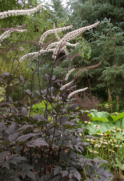 Landscape by Le jardinet