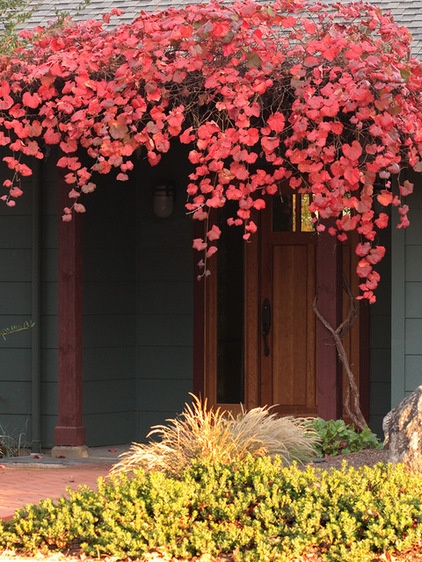 Contemporary Entry by John J. Kehoe Photography