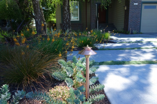 Modern Landscape by Dig Your Garden Landscape Design