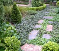 Ground Force: 10 Top Ground Covers for Your Garden