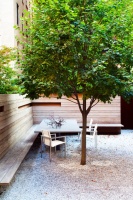 Pretty Trees for Patios, Paths and Other Tight Spots