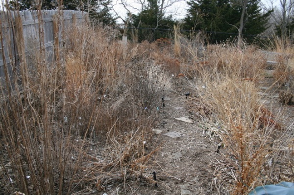 Landscape by Benjamin Vogt / Monarch Gardens