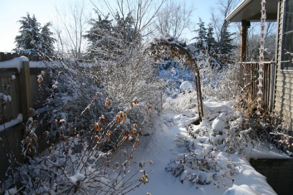 Traditional Landscape by Benjamin Vogt / Monarch Gardens