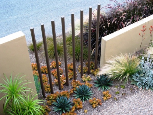 Contemporary Landscape by debora carl landscape design