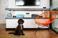 Houzz Tour: Living and Working in Style