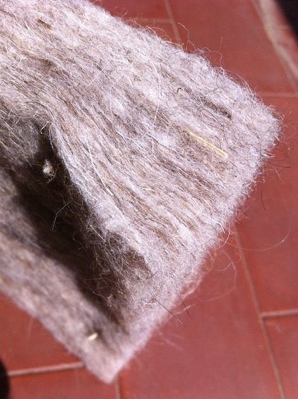 Sample of sheep's wool insulation