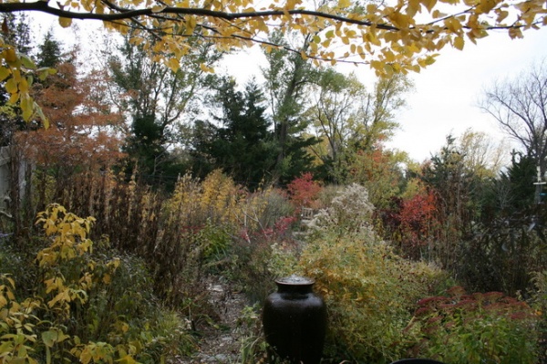 Why Fall Is the Best Time for Planting