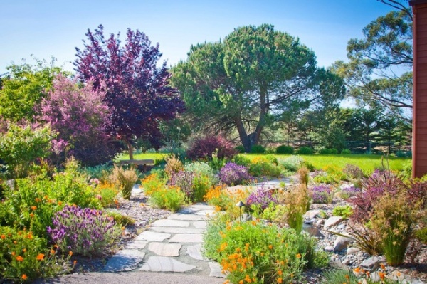 Mediterranean Landscape by Sage Ecological Landscapes and Nursery