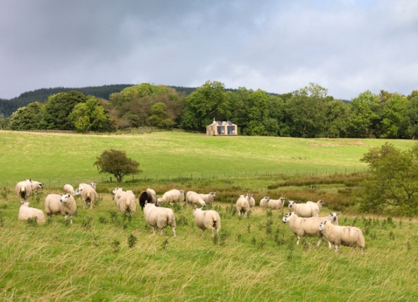 Houzz Tour: Scottish Farm Cottage Looks to Sun and Stars