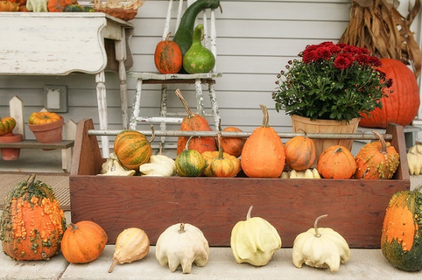 A Peek at 2 Prettily Dressed Fall Porches