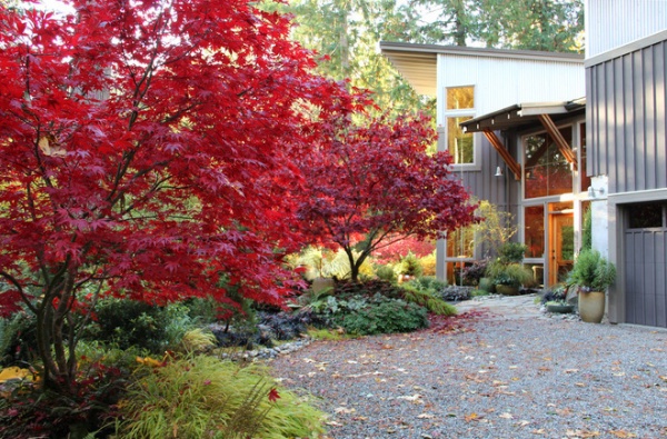 Houzz Call: Show Us Your Fall Color!