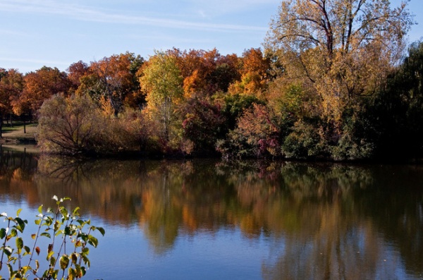 Houzz Call: Show Us Your Fall Color!