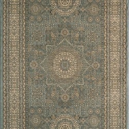 Traditional Rugs by Home Brands USA